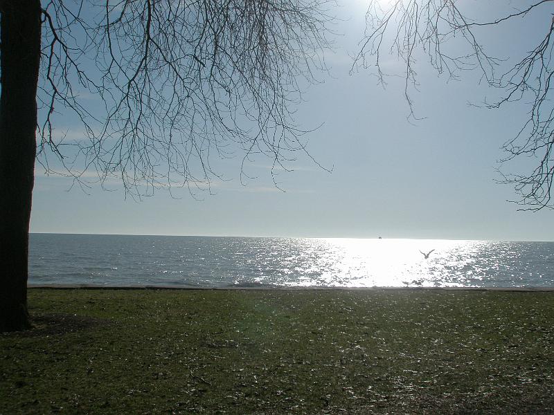 P4030010.JPG